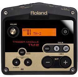Roland TM-2 - klikněte pro větší náhled