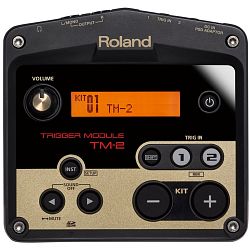 Roland TM-2 - kliknte pro vt nhled