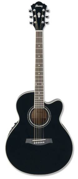 Ibanez AEL 10E - kliknte pro vt nhled