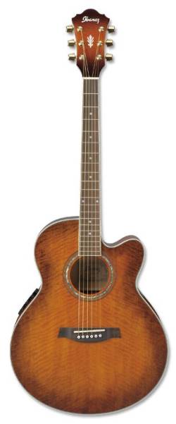Ibanez AEL20E - kliknte pro vt nhled