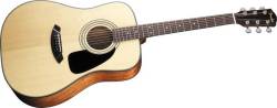 Fender CD 100 - kliknte pro vt nhled