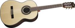 Fender CDN-210S - kliknte pro vt nhled