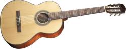 Fender CDN-90 - kliknte pro vt nhled