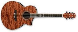 Ibanez EW20BGE NT - kliknte pro vt nhled