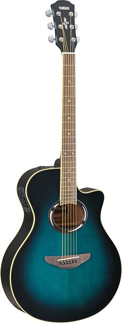 Yamaha APX500II  - kliknte pro vt nhled
