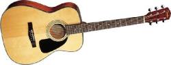 Fender GC-12 - kliknte pro vt nhled