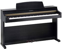 KURZWEIL MARK MP10 SR - kliknte pro vt nhled