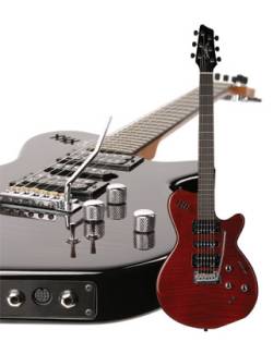 Godin XTSA Leaftop - kliknte pro vt nhled