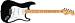 Fender  Eric Clapton Stratocaster - klikn�te pro v�t�� n�hled