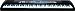 KURZWEIL SP2XS - klikn�te pro v�t�� n�hled