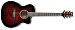Ibanez A300E - kliknte pro vt nhled