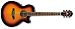 Ibanez AEG 10E - kliknte pro vt nhled