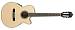 Ibanez AEG 10NE - kliknte pro vt nhled