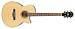 IBANEZ AEG 10II NT - kliknte pro vt nhled