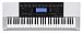 Casio CTK4200 - kliknte pro vt nhled