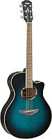 Yamaha APX500II  - klikn�te pro v�t�� n�hled