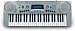 Gem GK300 - klikn�te pro v�t�� n�hled