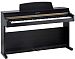 KURZWEIL MARK MP10 SR - klikn�te pro v�t�� n�hled
